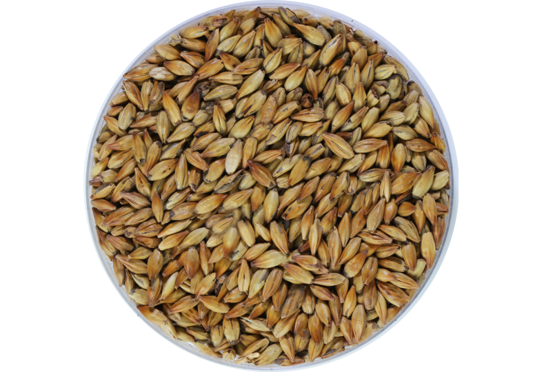 Mout - Mout Weyermann CaraMunich type 1 90 EBC