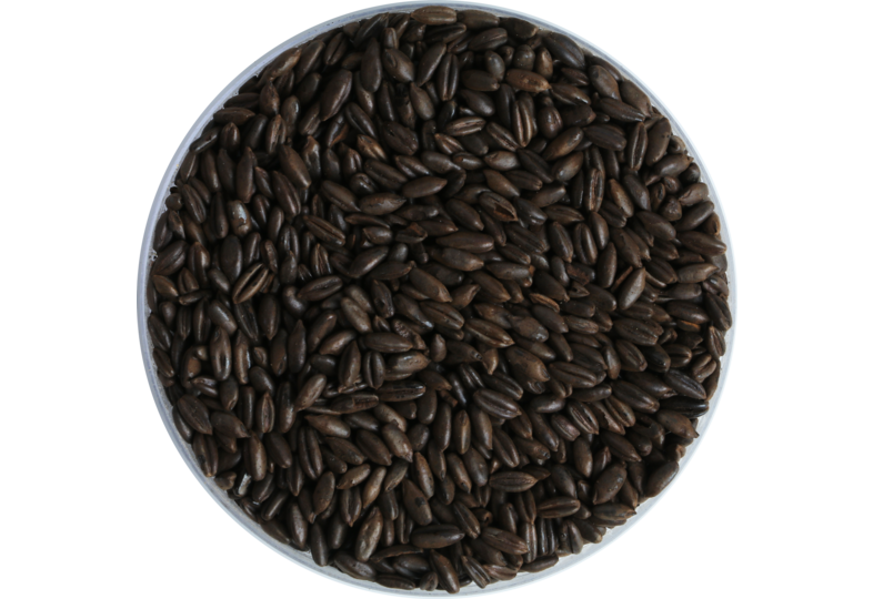 Mout - Malt Weyermann de seigle chocolat 650 EBC