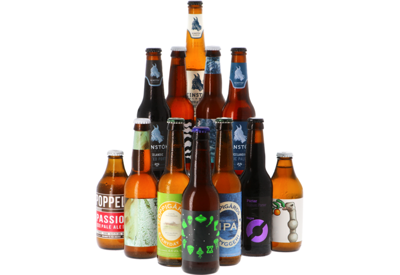 Bier packs - Viking Speciaalbier Pack - 12x33cl