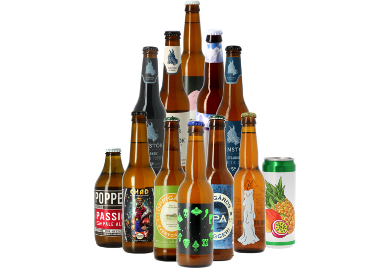 Bier packs - Viking Speciaalbier Pack - 12x33cl