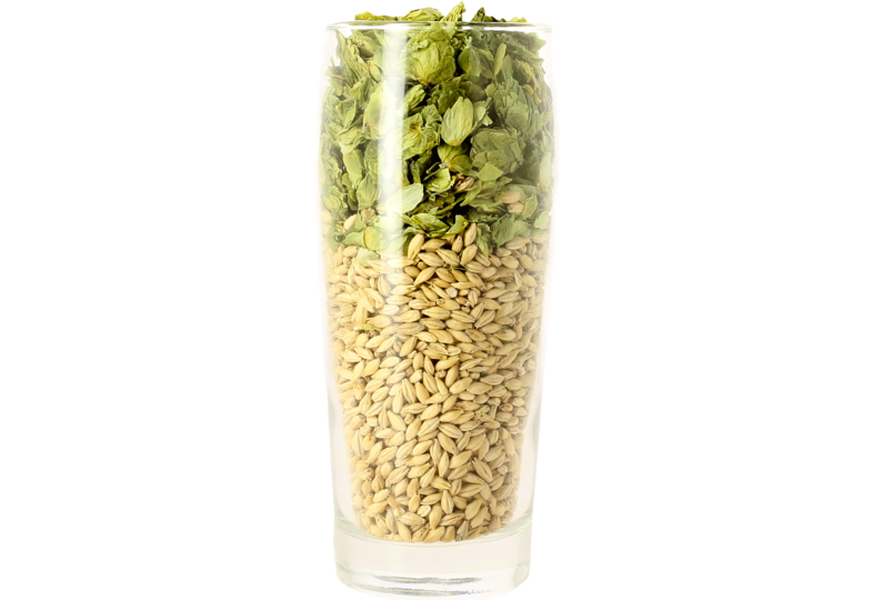 Verres à bière - Verre neutre Willi - 50 cl