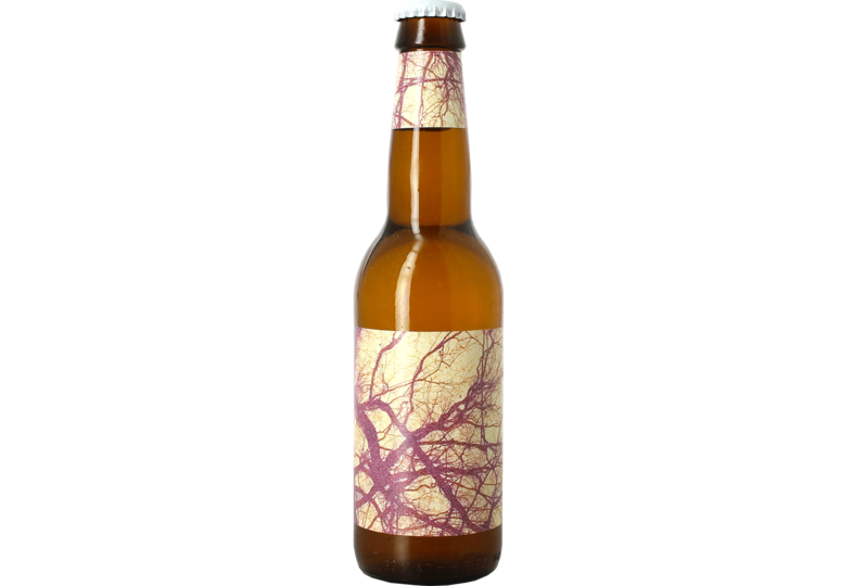 Bouteilles - To Øl Sur Tangerine / Mosaic Lemonade