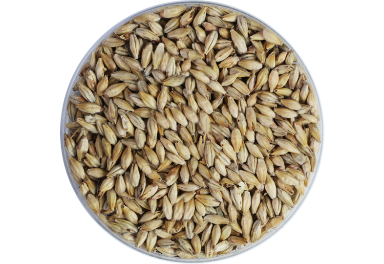 Malts - Malt Abbaye 45 EBC