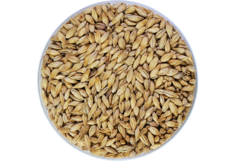 Malts - Munich Malt 25 EBC