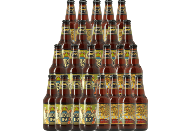 Accessori e regali - Pack x24 duo de Founders Azacca IPA & Centennial IPA