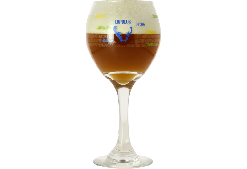 Verres à bière - Verre Lupulus - 25 cl