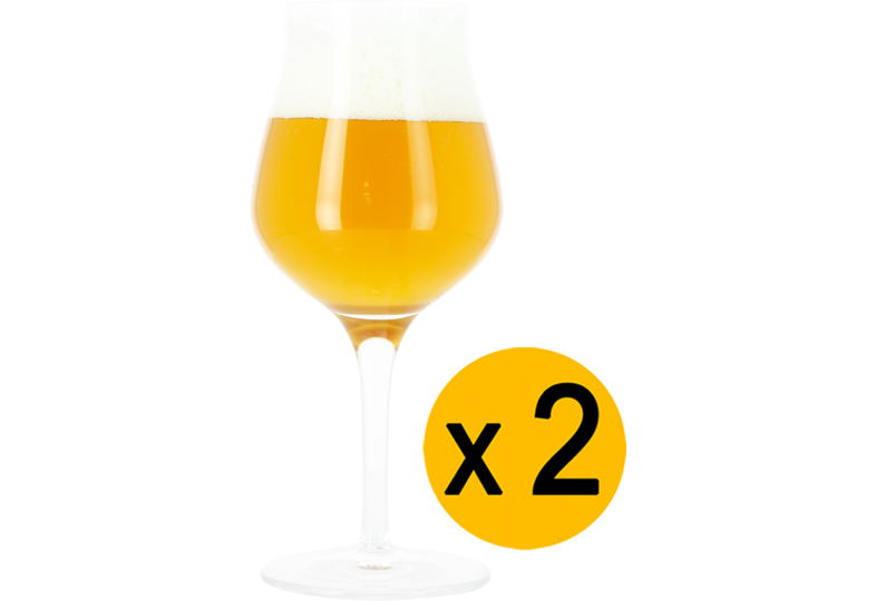 Bierglazen - 2 Neutraal glases Sensorik - 42 cl