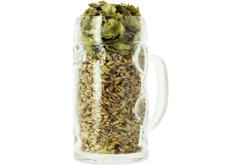 Beer glasses - Isar Bock blank glass - 50 cl