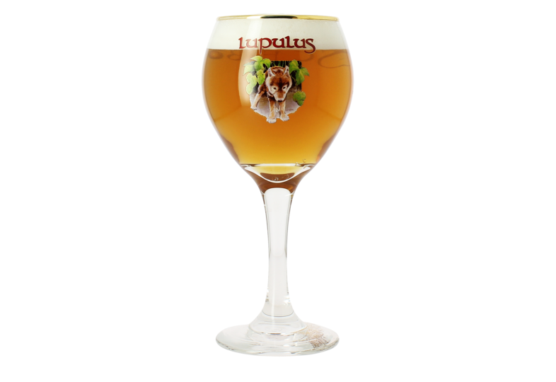 Bierglazen - Glas Lupulus - 25 cl