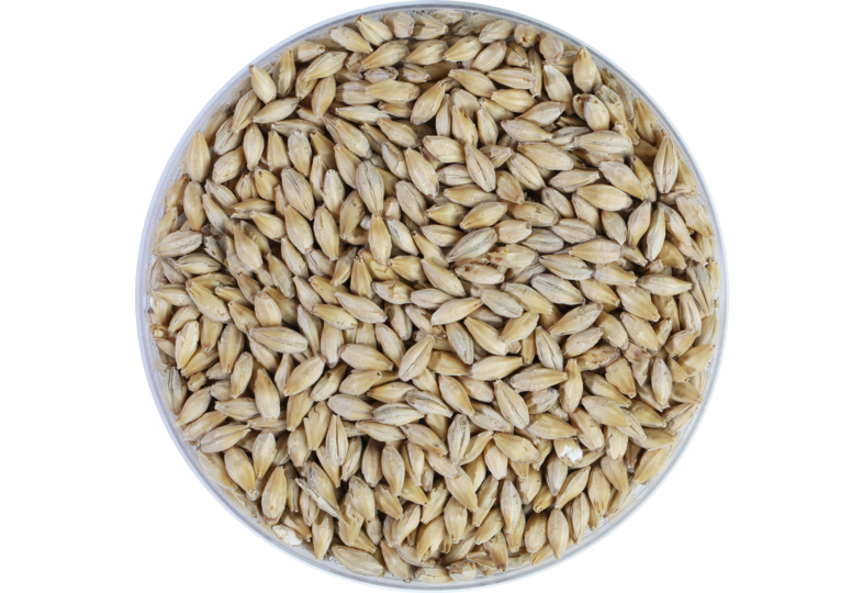 Malts de brasserie - Malt de brasserie Munich 15 - 25kg