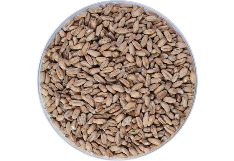 Malti - Malto di Farro - Spelta