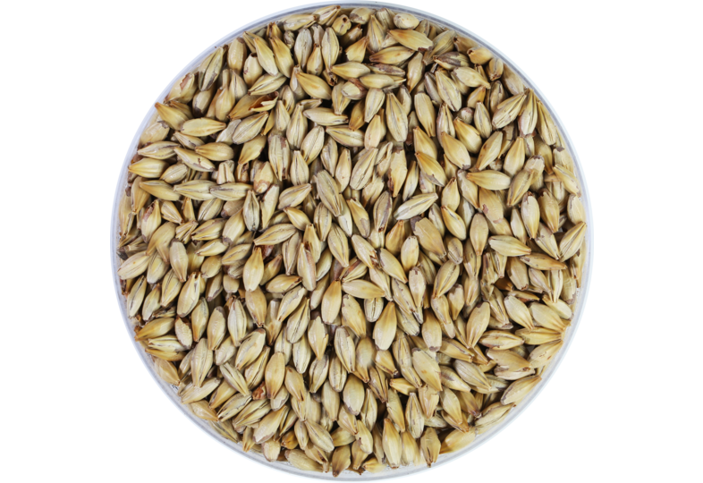 Malts - Cara Ruby Malt 50 EBC