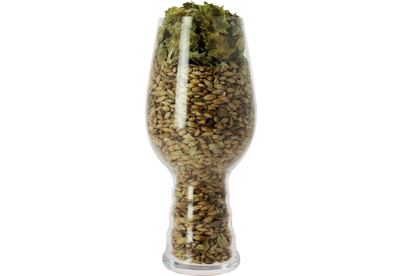 Ölglas - Blank IPA glass