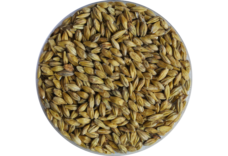 Malts de brasserie - Malt Acide biologique 9,5 EBC