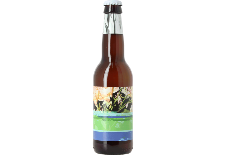Bouteilles - To Øl Dangerously Close To Stupid